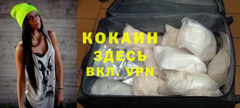 купить закладку  блэк спрут ссылки  Cocaine Эквадор  Змеиногорск 